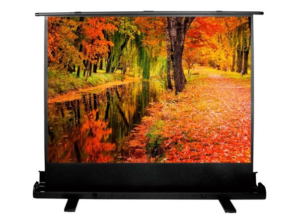 Экран для проектора Cactus FloorExpert CS-PSFLE-200X150 напольный